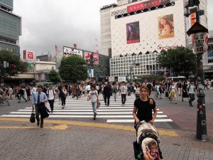 p9163412 1 300x225 - Tokio con bebé, descubriendo la mayor aglomeración urbana