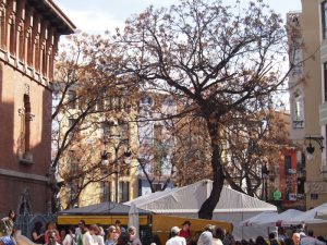 mercado central valencia 2 300x225 - Imprescindibles en Valencia y alrededores